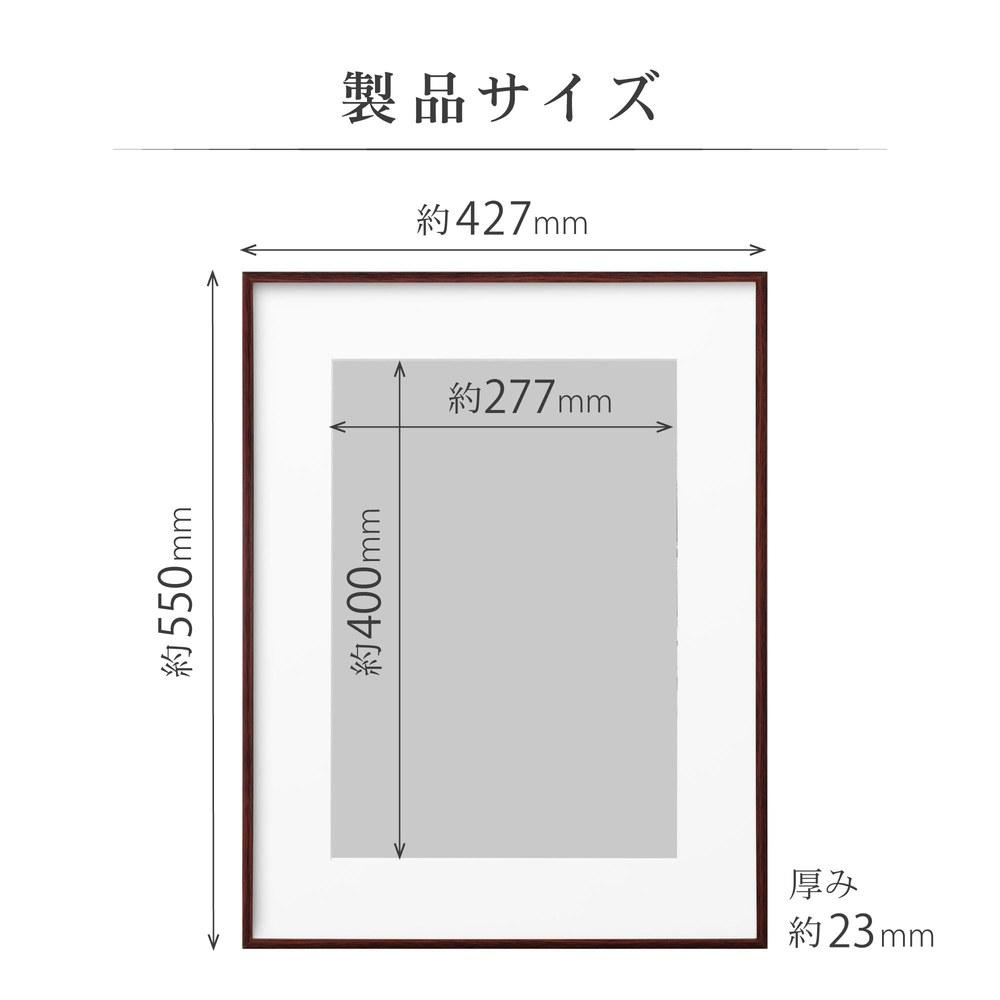 Hakuba Lightweight Zero Frame G-01 A3 Brown