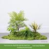 Bionic Fake Plants for Indoor Decoration: Living Room, Window Display, Under Stairs, Corner Arrangement.