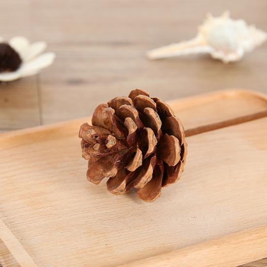 Preserved Flower Bouquet: Eucalyptus, Cotton, Pine Cones, Lotus Pods - DIY Home Decor