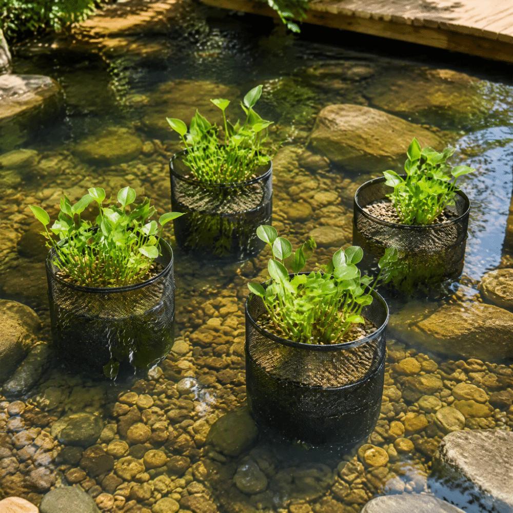 1/16 Inch Mesh Pond Plant Baskets 7 Inch Water Garden Plant Pots Lily Plant Pots  Terrestrial Plant