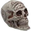 Halloween Decoration - BigBuy Home - Skull - 13 X 16 X 18 Cm - Multicolor