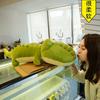 40СМ Супермягкая игрушка-крокодил из плюша, зеленая подушка, кукла в полный рост, гигантский аллигатор из джунглей, детская аниме, подарок на день рождения
