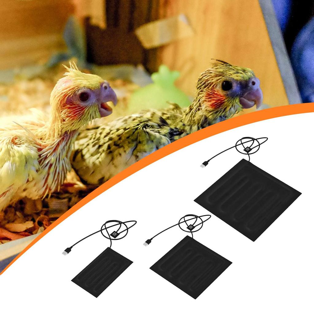 Нагревательный коврик для рептилий, подогреватель под террариум с контролем температуры, многоцелевой USB-нагреватель для террариума, для разведения лягушек, гекконов, инкубатор