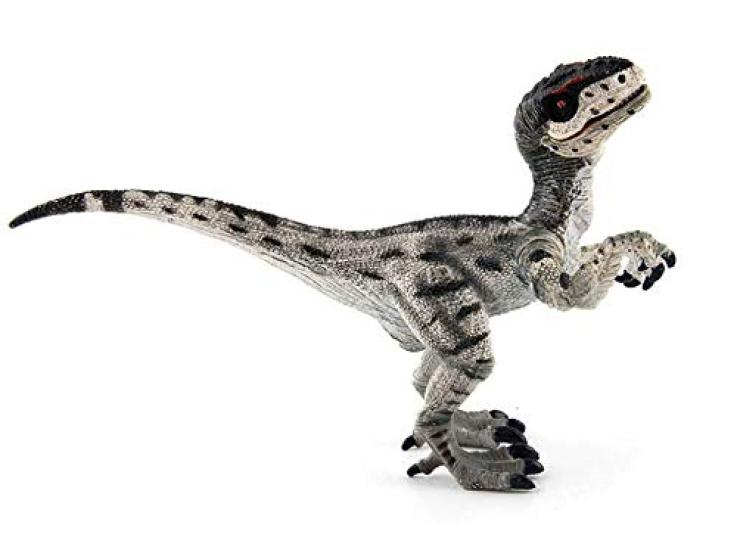 SanDoll Dinosaur Figure Realistic Model Jurassic 20cm Class Reptile Impressive Carnivorous Children Toy Present Display (Velociraptor)