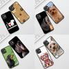 Casing for Apple iPhone 12 13 Pro Max Mini ProMax X XR Air 13Pro XS Phone Cover Soft Case Yorkshire Terrier Yorkie Dachshund Dog