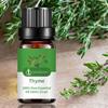 10ml Body Massage Oil Non-irritating Soothing Plant Extract Delicate Aid Digestion Exquisite Thyme