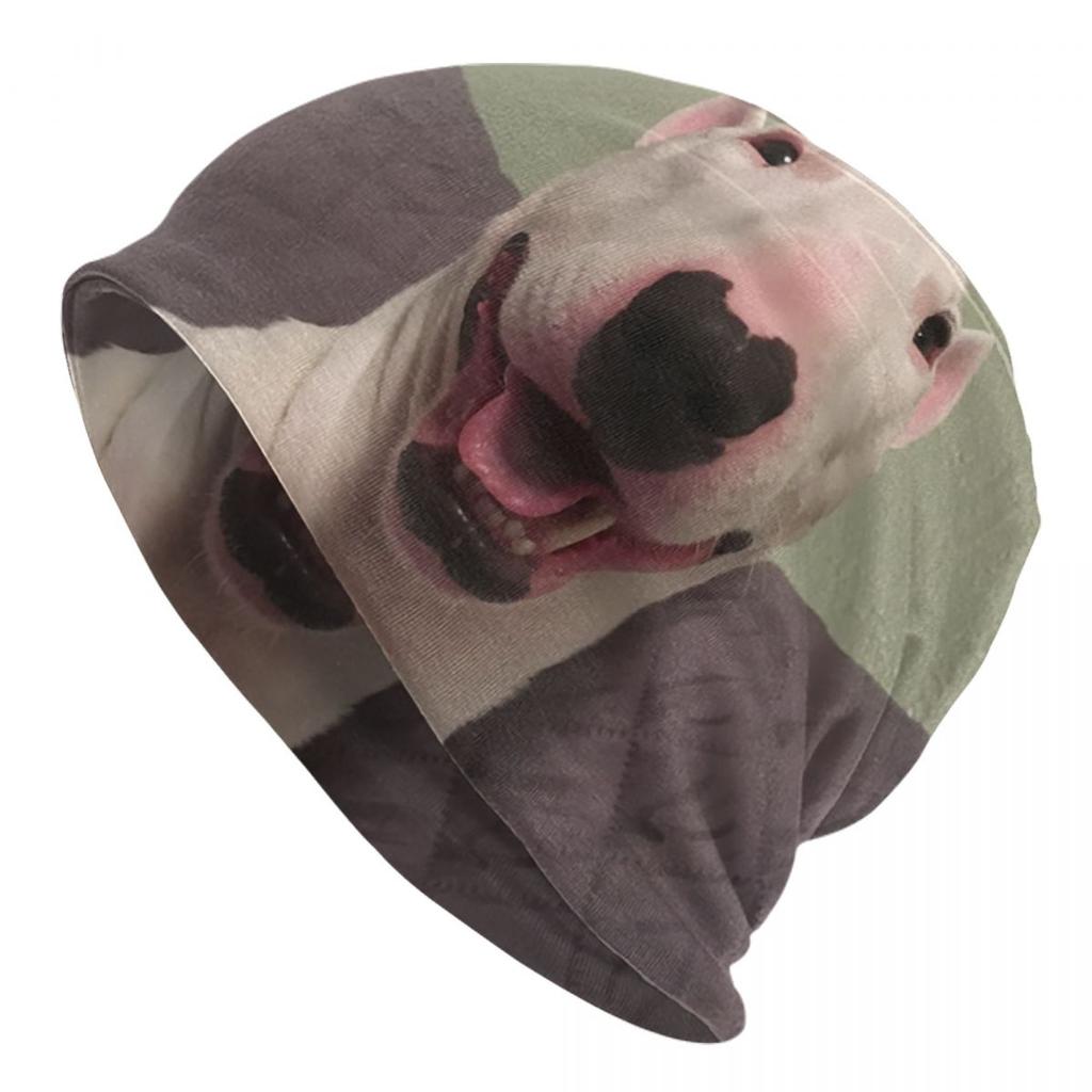 Английские шапки с черепами для бультерьера, уличная зимняя теплая женская вязаная шапка унисекс, шапка с капюшоном для животных, домашних питомцев, щенков