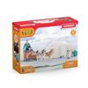Schleich Wildlife Антарктическая экспедиция 42558