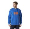 Helly Hansen Logo 2.0 худи