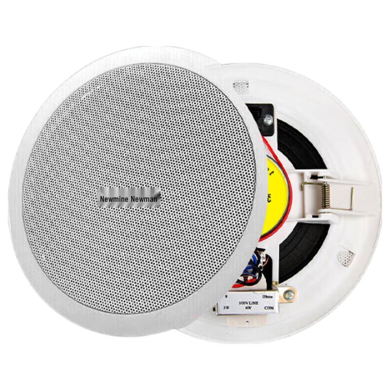 Newmine D168 5-inch Ceiling Speaker System (CN version)
