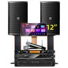 SANSUI PK12 Профессиональная KTV акустическая система CN вилка (адаптер в комплекте)
