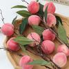 Plastic Simulation Peach Fruit 6 Heads Fake Plants Artificial Peach Branch  Home Garden Decor