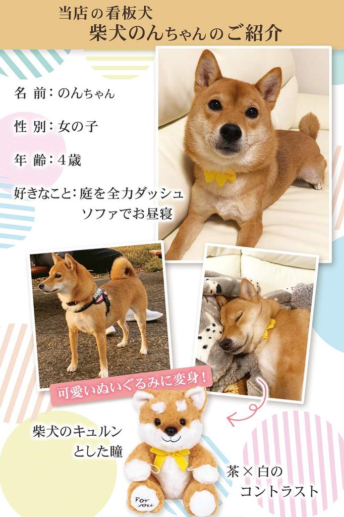 LiLYS Сохраненный цветок 2025 Плюшевая игрушка Сиба-ину с одним Идеальный подарок для и Дни рождения épice Rose, Торжества, Юбилеи, (Rouge Velvet)