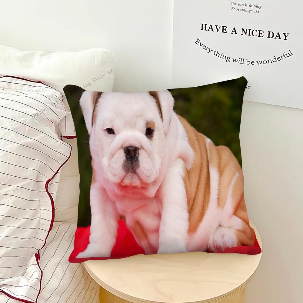 Чехол для подушки для ванны с бульдогом, квадратная подушка, спальня, диван, подушка для отдыха и комфорта, автомобиль, гостиная, домашний декор
