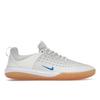 Кроссовки Zoom Nyjah 3 SB Summit White Photo Blue мужские DV7896-100