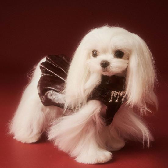 Платье для маленькой собаки, платье принцессы из искусственной кожи без рукавов, черная юбка-пачка для девочек и собак, наряды для мотоциклистов на день рождения и свадьбу