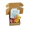 Little Bear In Box My Little Worry Bear Miniature Pocket Hug Bear with Positive Card Emotional Support Inspirational Gifts for Friends