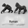 Chimpanzee and Gorilla Standing Zoo Model Toy