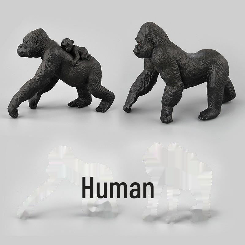 Chimpanzee and Gorilla Standing Zoo Model Toy