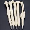 Creative Ball Point Pen Bone Shape Nurse Doctor Student Teacher Stationery Gift