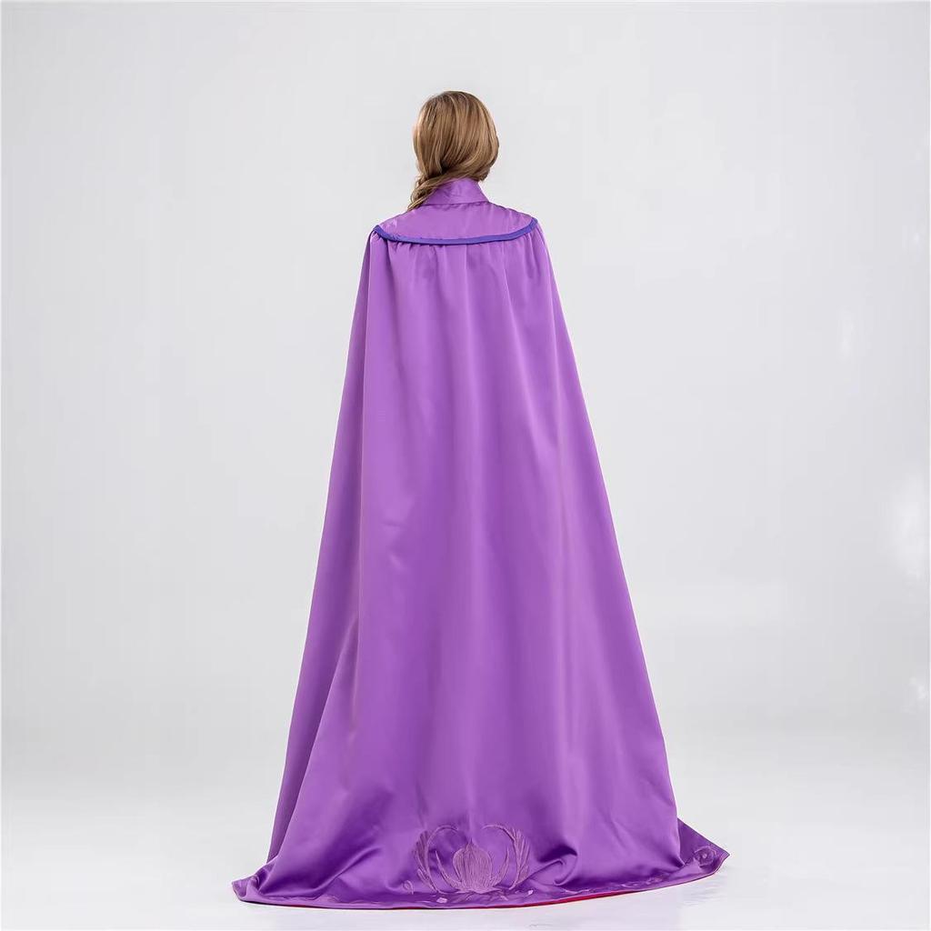 Frozen Cosplay Princess Anna Adult Halloween Costume