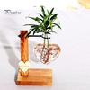 Стеклянная ваза для размножения растений, ваза для луковиц любви с деревянной рамой, настольная станция для размножения растений на гидропонике, черенки цветов для домашнего офиса