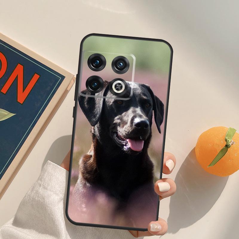 Black labrador retriever Animal Dog Case For OnePlus 12R 13R 13T 10R 15 13 12 11 10T 8T Nord CE 4 3 2 Lite N20 N30 Nord 5 Cover