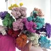 Yunnan Everlasting Bleached Rice Flower Dried Bouquet