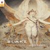 William Blake by James Fenton Paperback Book 9780571236039