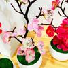 Blossoms Bonsai Silk Flowers Silk Flower Winter Plum Branch Mini Potted Plants  Room