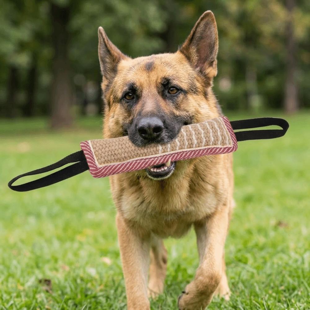 Stick Shaped Dog Training Stick Tough Texture Dog Molar Stick Dog Chew Stick Boredom Relief
