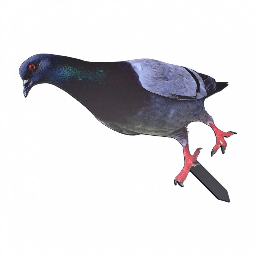 Garden Pigeon Outdoor Space Package Content Specifications