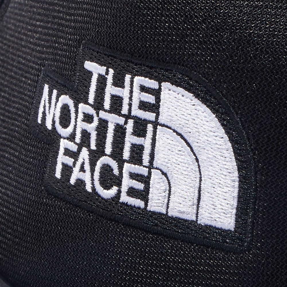 The North Face All Mesh Graphics New Taupe Large Cap, 2,