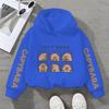 Cute capybara hoodie for kids, unisex sweatshirt, a perfect gift for capybara lovers, casual wear.