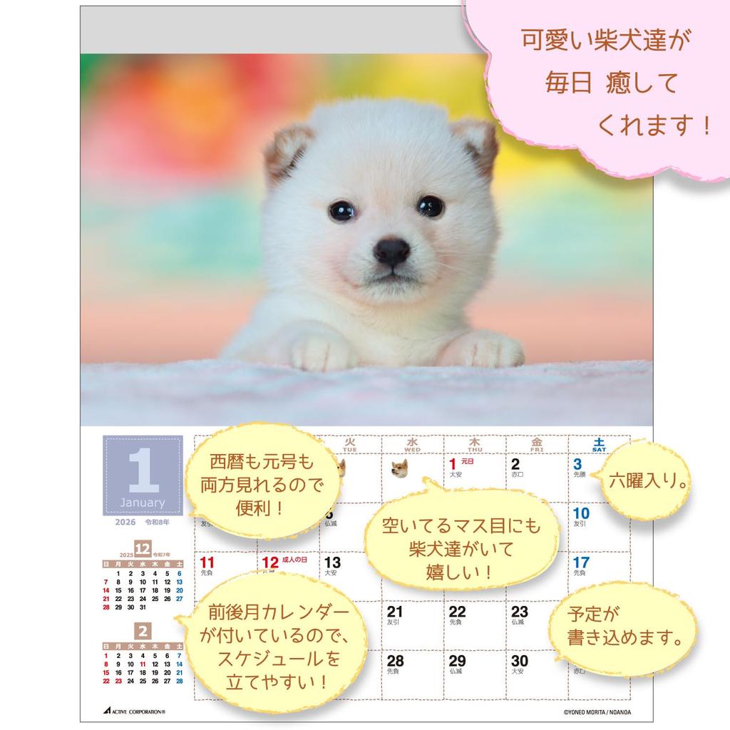 Активная Корпорация 2026 Настенный Морита Целый Шиба Начинается Январь 2026 Календарь, Йонео, Ину, 26ACL-11,