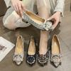 Spring and Autumn Casual Fashion Pointed Toe Comfortable Non-slip Wear-resistant Simple Metal Decorative Women's Shoes