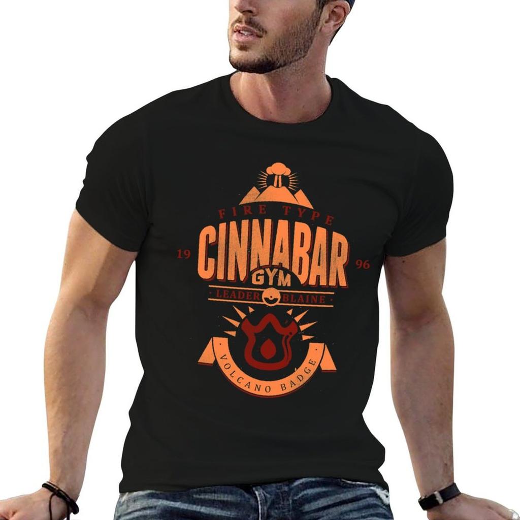Cinnabar Gym T-Shirt Casual Everyday Short Sleeve T-Shirt