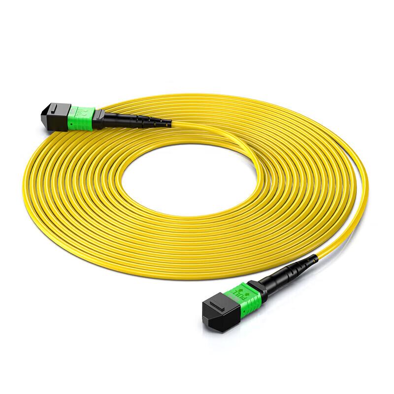Shengwei MPO Data Center Fiber Patch Cable