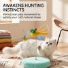 Scratch Resistant Cat Teaser Wand Dragonfly Design Cat Teaser Toy Cat Spring Toy  Indoor Cat
