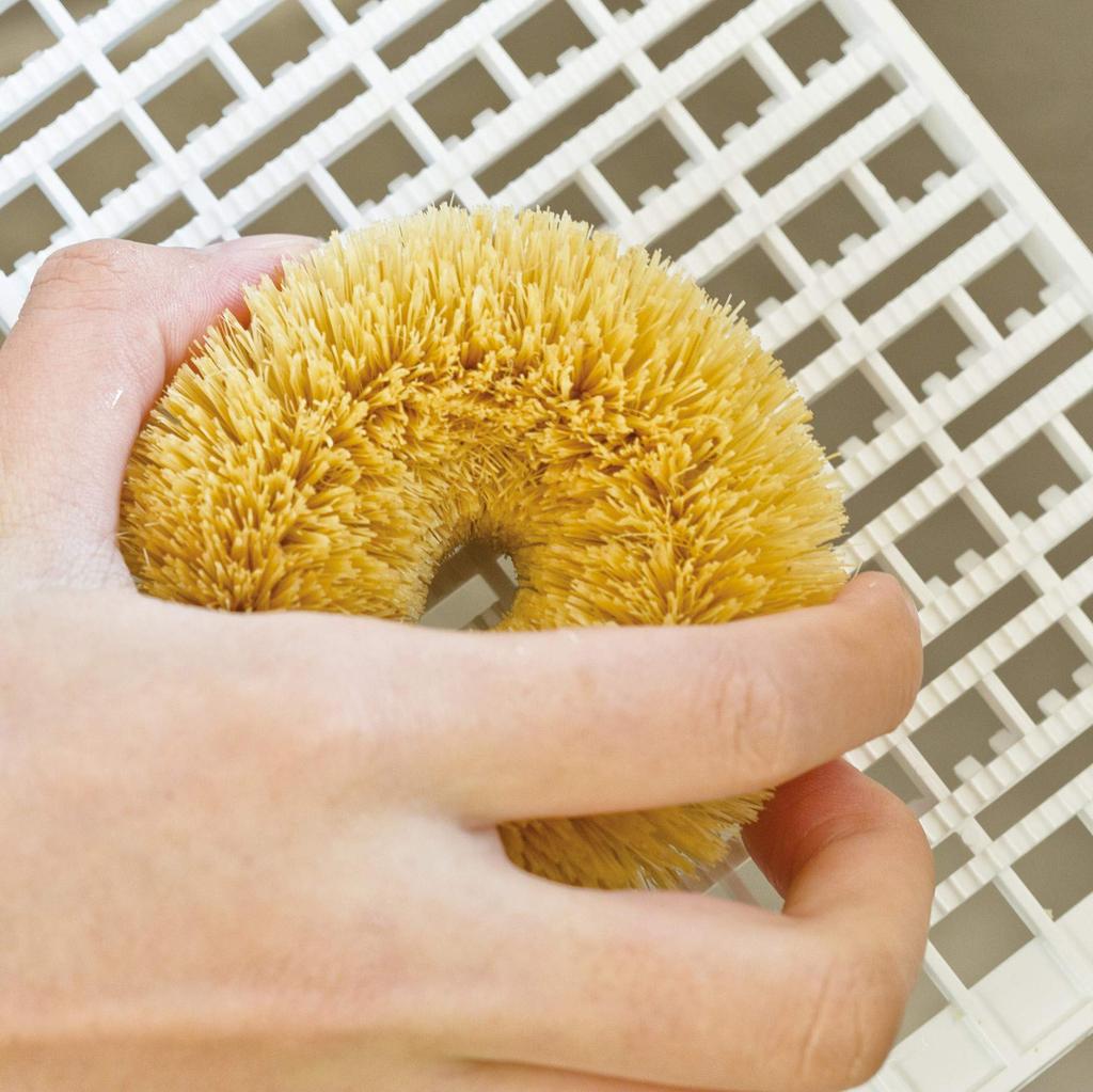 Каменоко Цукако Нисио Шотэн Белая скруббер Белая пальма (Маленький)