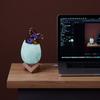 Трицератопс динозавр яйцо свет 3D светодиодный светильник 3D ночник детская лампа детская игрушка подарок на день рождения Дракон 2021 новая ночь