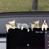Автомобильное украшение Легкая мини-фигурка кошки Украшение для монитора компьютера Офисный стол Аксессуары для приборной панели автомобиля
