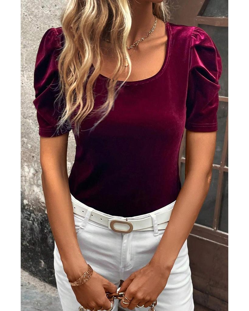 Azura Exchange Burgundy Short Puff Sleeve Velvet Top