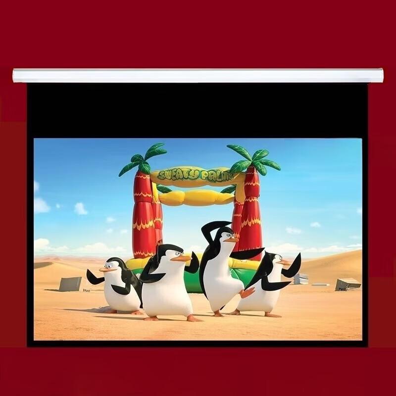 NEC 100-inch 4:3 Electric Projector Screen