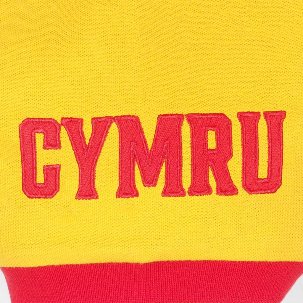 Wales Cymru Boys Contrast Sleeves Polo Shirt