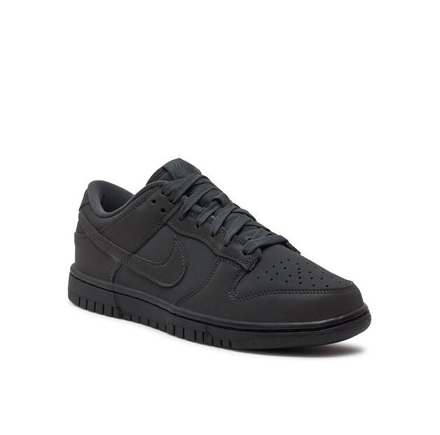 Nike Кроссовки Dunk Low FZ3781 060 серый