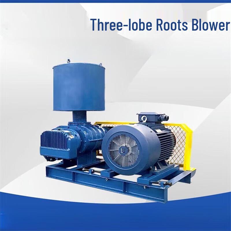 Erbeli BJSS-50 Industrial Roots Blower CN plug (adapter included)