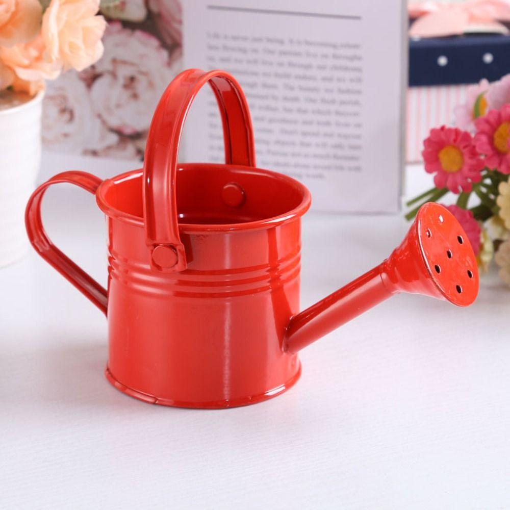 Large Capacity Mini Metal Watering Can Thickened Sprinkler Durable Water Spraying Pot  Gardening