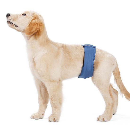 Подгузники для домашних животных, водопоглощающие дышащие дышащие трусики для собак мужского пола для четырех человек