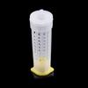 Plastic 50Pcs King Bee Holder Box Tool Protective Cover Rearing Cup Bee Queen Cage Bees Rearing